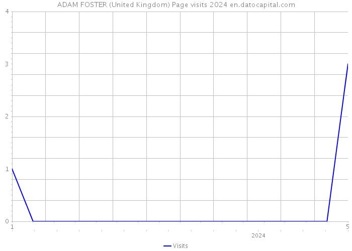 ADAM FOSTER (United Kingdom) Page visits 2024 
