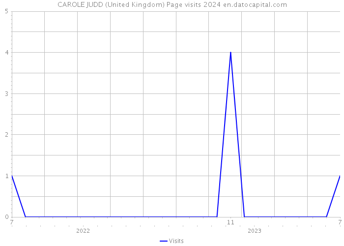 CAROLE JUDD (United Kingdom) Page visits 2024 