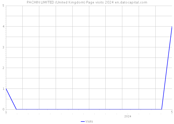 PACHIN LIMITED (United Kingdom) Page visits 2024 