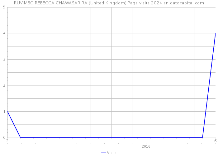 RUVIMBO REBECCA CHAWASARIRA (United Kingdom) Page visits 2024 