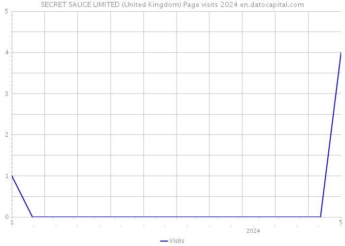 SECRET SAUCE LIMITED (United Kingdom) Page visits 2024 