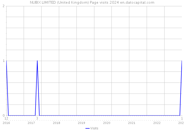 NUBIX LIMITED (United Kingdom) Page visits 2024 