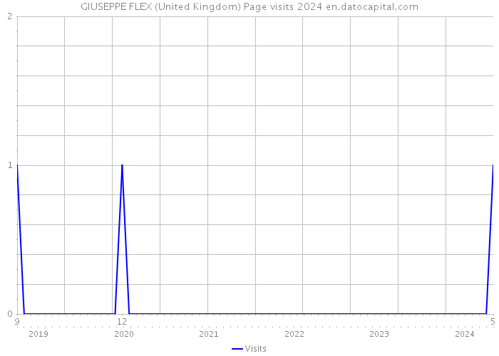 GIUSEPPE FLEX (United Kingdom) Page visits 2024 