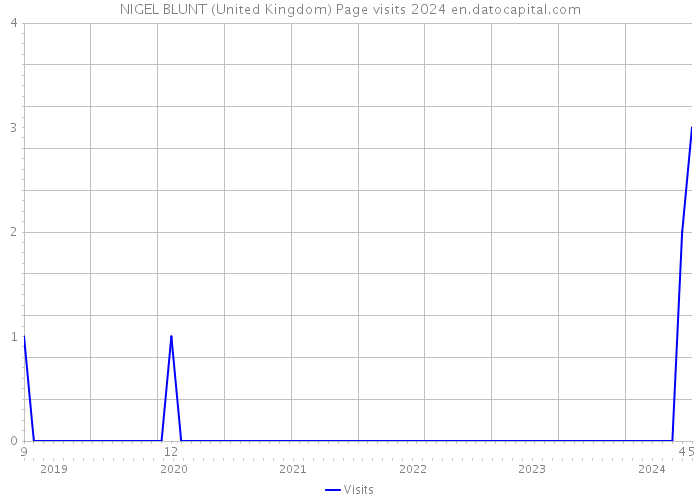 NIGEL BLUNT (United Kingdom) Page visits 2024 