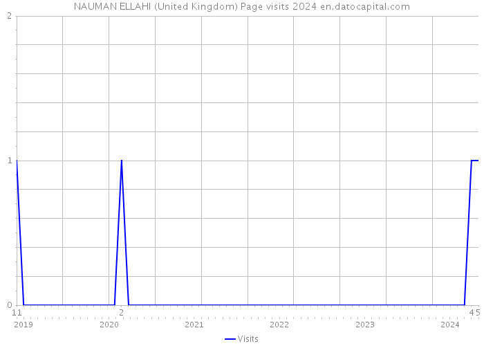 NAUMAN ELLAHI (United Kingdom) Page visits 2024 