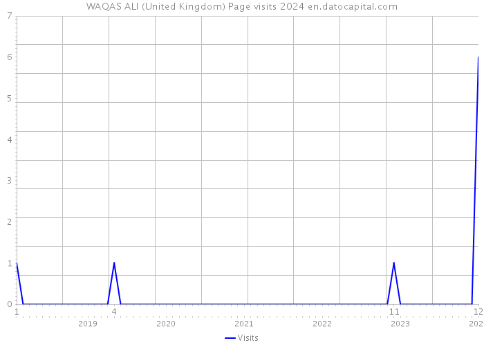WAQAS ALI (United Kingdom) Page visits 2024 