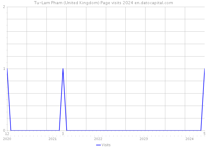Tu-Lam Pham (United Kingdom) Page visits 2024 