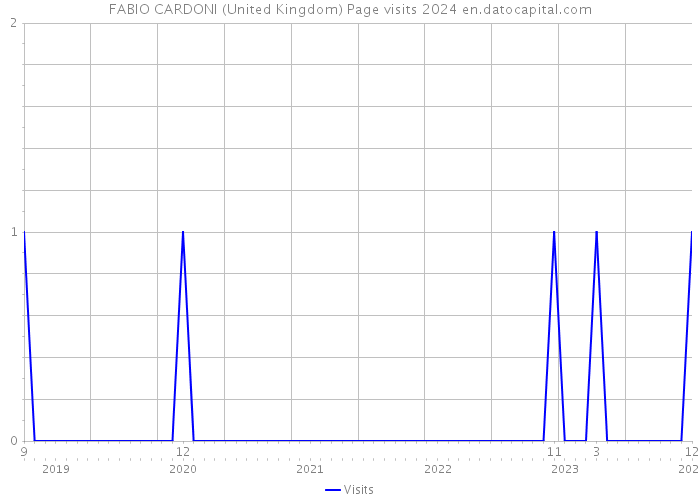 FABIO CARDONI (United Kingdom) Page visits 2024 