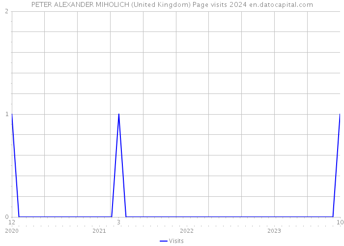 PETER ALEXANDER MIHOLICH (United Kingdom) Page visits 2024 
