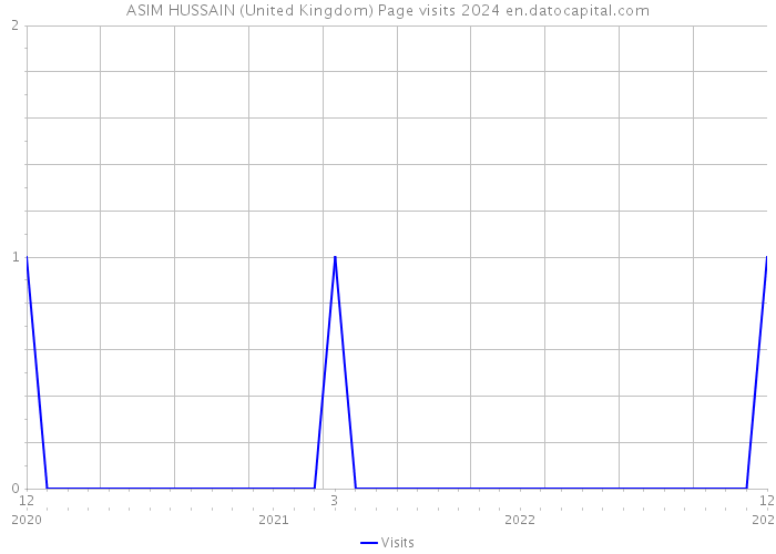 ASIM HUSSAIN (United Kingdom) Page visits 2024 