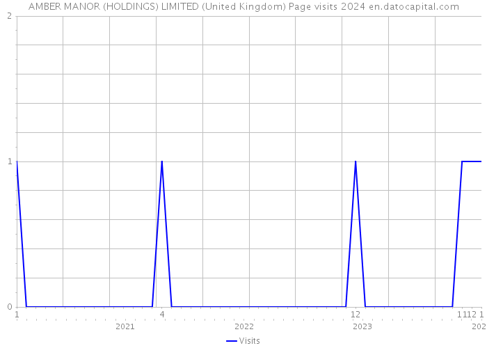 AMBER MANOR (HOLDINGS) LIMITED (United Kingdom) Page visits 2024 