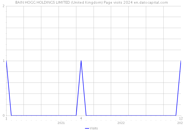 BAIN HOGG HOLDINGS LIMITED (United Kingdom) Page visits 2024 