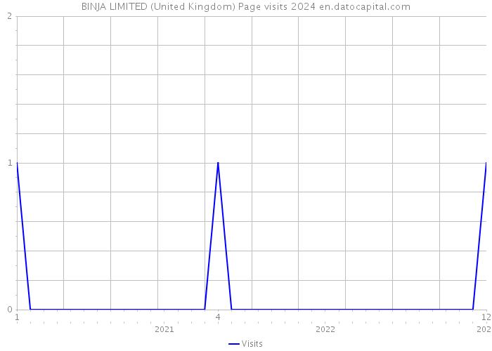 BINJA LIMITED (United Kingdom) Page visits 2024 
