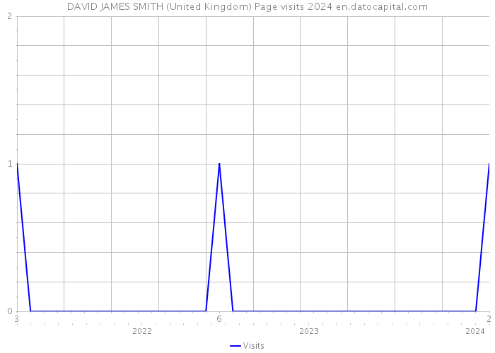 DAVID JAMES SMITH (United Kingdom) Page visits 2024 