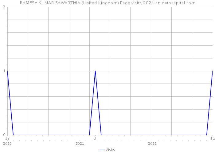 RAMESH KUMAR SAWARTHIA (United Kingdom) Page visits 2024 