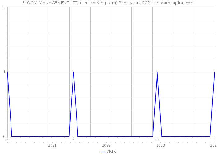 BLOOM MANAGEMENT LTD (United Kingdom) Page visits 2024 
