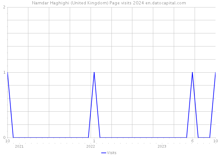 Namdar Haghighi (United Kingdom) Page visits 2024 