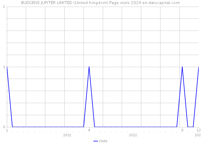 BUDGENS JUPITER LIMITED (United Kingdom) Page visits 2024 