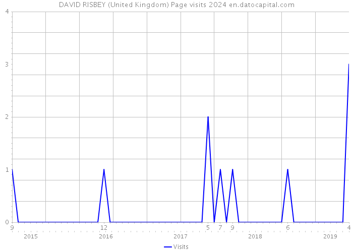 DAVID RISBEY (United Kingdom) Page visits 2024 