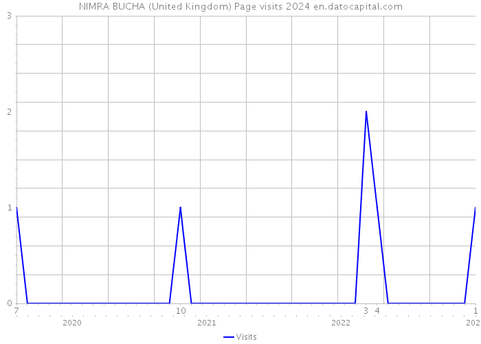 NIMRA BUCHA (United Kingdom) Page visits 2024 