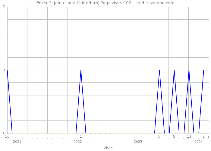 Enver Sejdiu (United Kingdom) Page visits 2024 