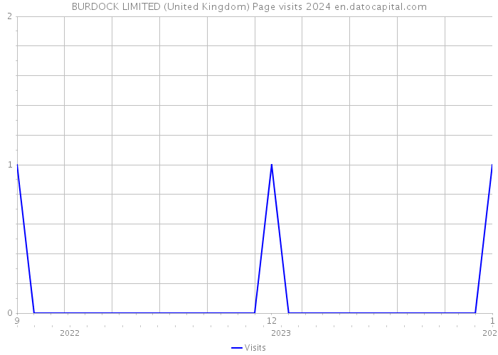 BURDOCK LIMITED (United Kingdom) Page visits 2024 