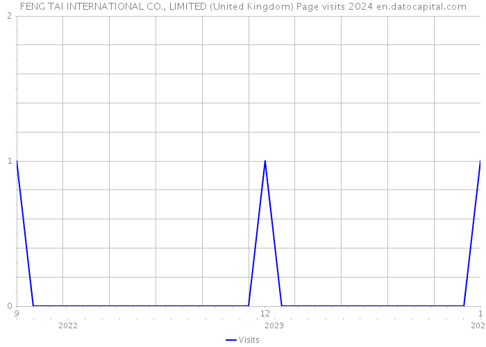 FENG TAI INTERNATIONAL CO., LIMITED (United Kingdom) Page visits 2024 