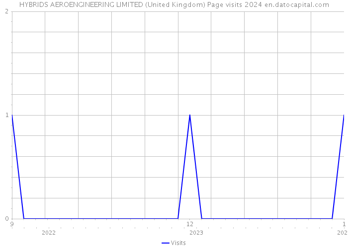 HYBRIDS AEROENGINEERING LIMITED (United Kingdom) Page visits 2024 