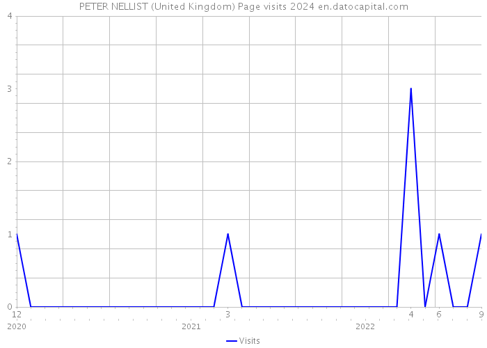 PETER NELLIST (United Kingdom) Page visits 2024 