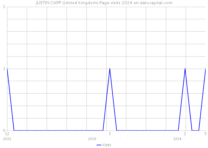 JUSTIN CAPP (United Kingdom) Page visits 2024 