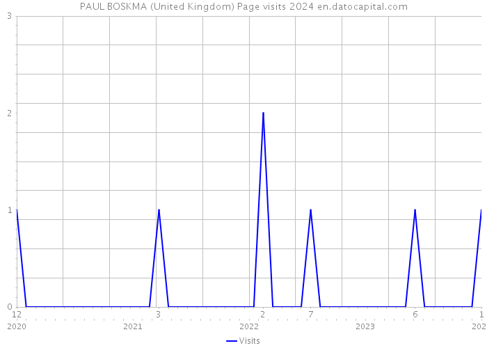 PAUL BOSKMA (United Kingdom) Page visits 2024 
