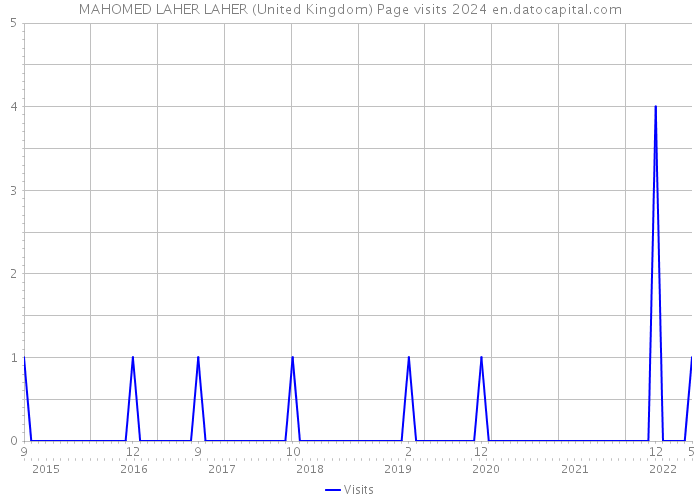 MAHOMED LAHER LAHER (United Kingdom) Page visits 2024 