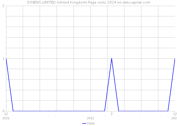 SYNESIS LIMITED (United Kingdom) Page visits 2024 