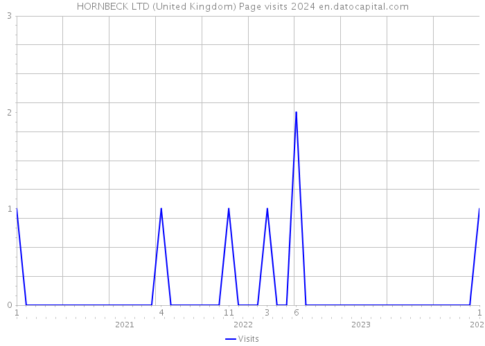 HORNBECK LTD (United Kingdom) Page visits 2024 