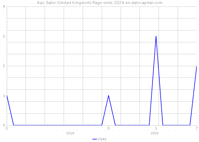 Aqo Sabir (United Kingdom) Page visits 2024 