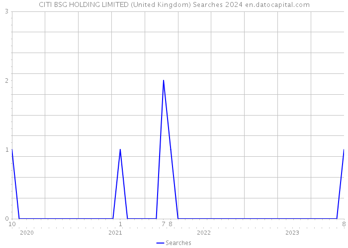 CITI BSG HOLDING LIMITED (United Kingdom) Searches 2024 