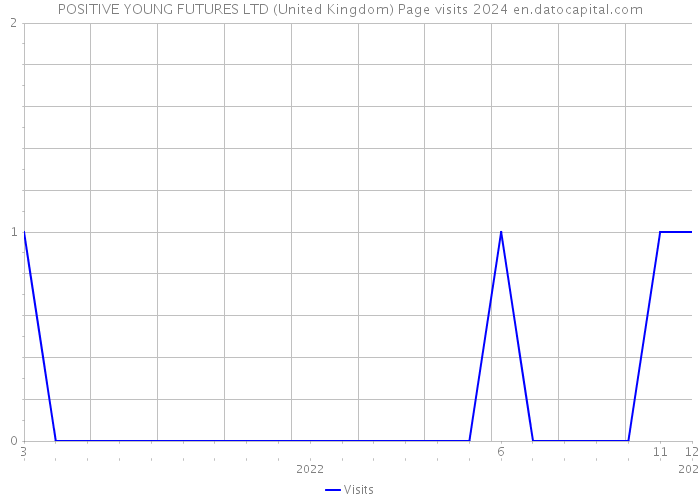 POSITIVE YOUNG FUTURES LTD (United Kingdom) Page visits 2024 