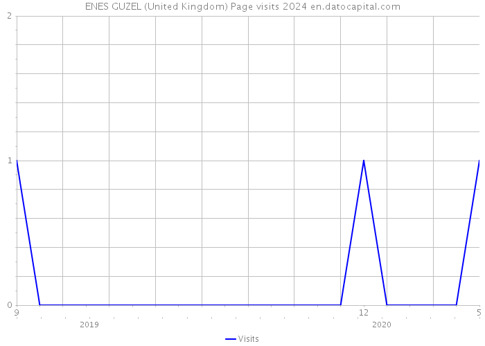 ENES GUZEL (United Kingdom) Page visits 2024 