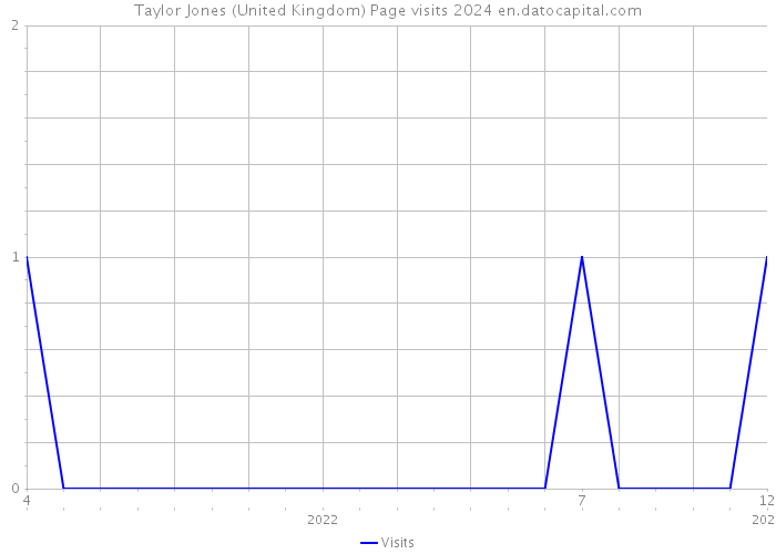 Taylor Jones (United Kingdom) Page visits 2024 