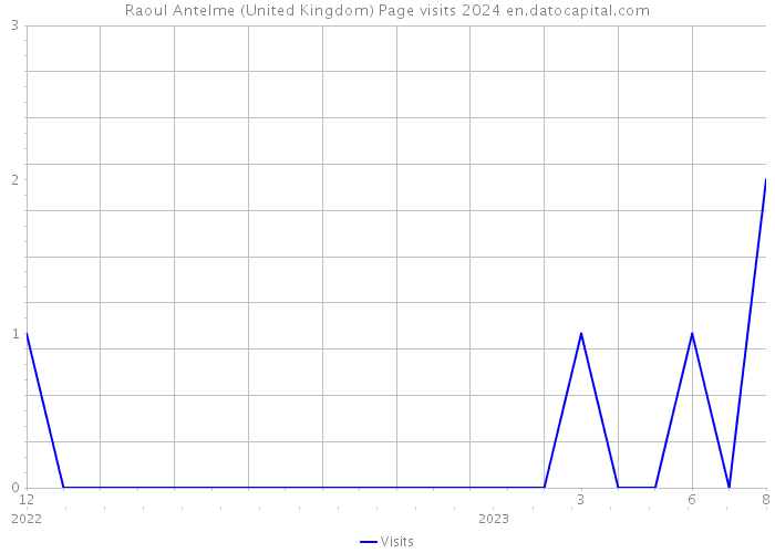 Raoul Antelme (United Kingdom) Page visits 2024 