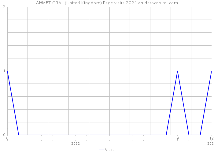AHMET ORAL (United Kingdom) Page visits 2024 
