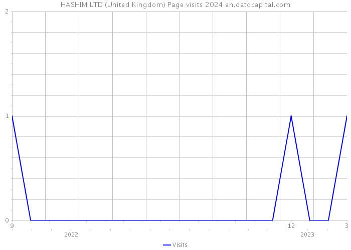 HASHIM LTD (United Kingdom) Page visits 2024 