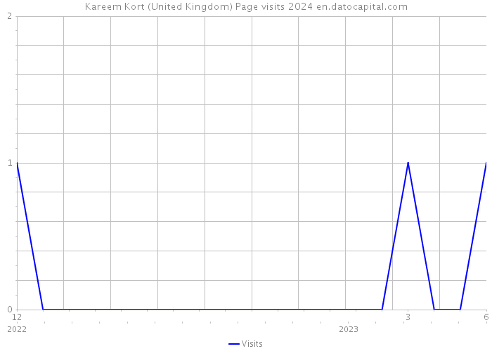 Kareem Kort (United Kingdom) Page visits 2024 