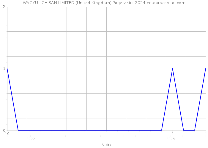 WAGYU-ICHIBAN LIMITED (United Kingdom) Page visits 2024 