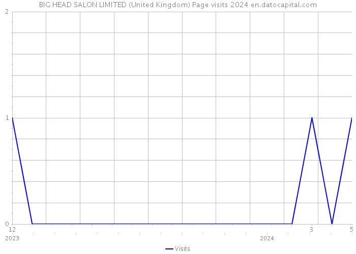 BIG HEAD SALON LIMITED (United Kingdom) Page visits 2024 