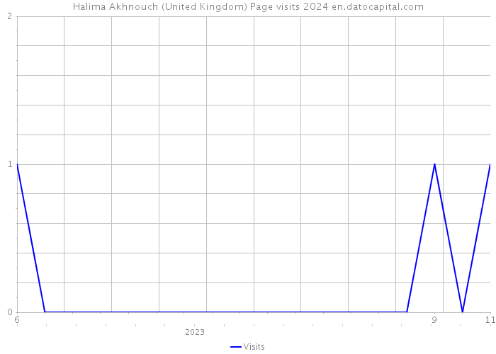 Halima Akhnouch (United Kingdom) Page visits 2024 