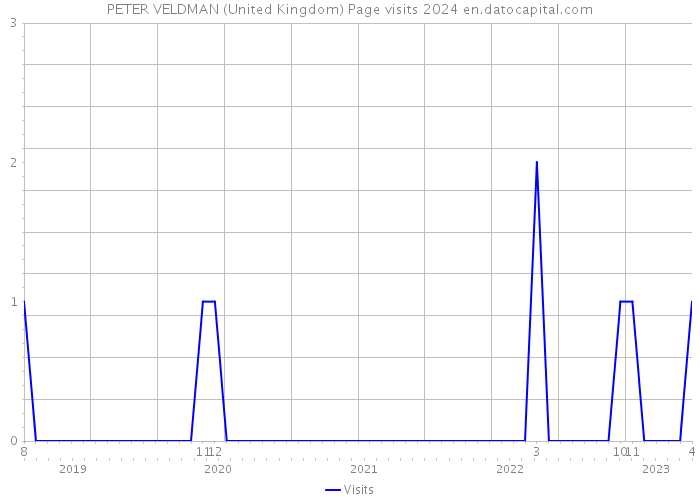 PETER VELDMAN (United Kingdom) Page visits 2024 