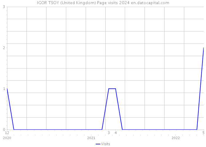 IGOR TSOY (United Kingdom) Page visits 2024 