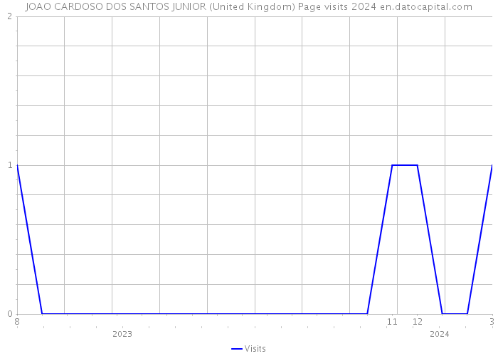 JOAO CARDOSO DOS SANTOS JUNIOR (United Kingdom) Page visits 2024 