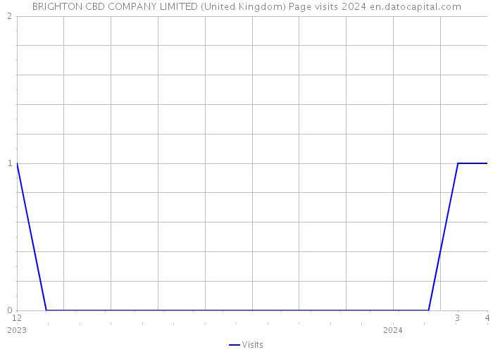 BRIGHTON CBD COMPANY LIMITED (United Kingdom) Page visits 2024 
